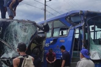 w16 81410ECUADORBUS
