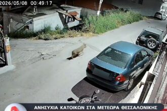 018f52a7 image1