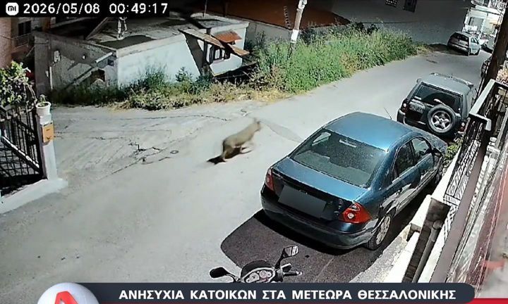 018f52a7 image1