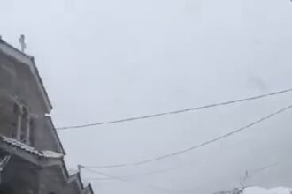1000149635