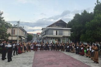 1000151534