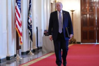 Alles du 1734756 f31c2dee a1bd0cd7 trump 46 1068x641 1