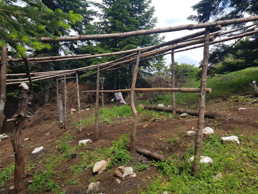 FOTO 6