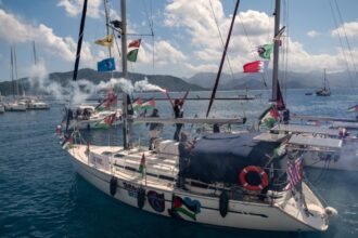 Flotilla 2 1024x661 1