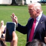 Tramp M 1738067 trump 164