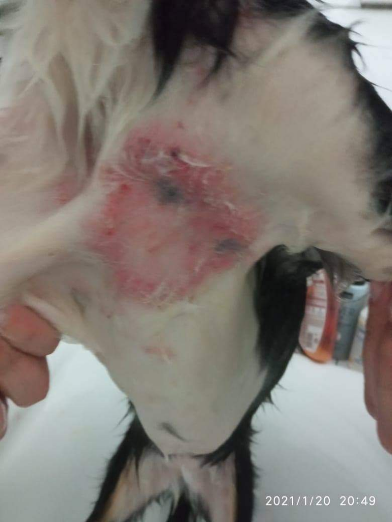 image 151