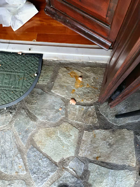 image 85
