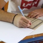 paneladikes
