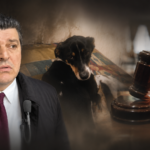 Θανάσης Τσόγκας, Συνήγορος Υποστήριξης της Κατηγορίας