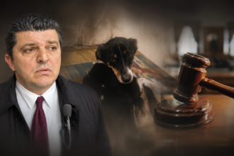 Θανάσης Τσόγκας, Συνήγορος Υποστήριξης της Κατηγορίας