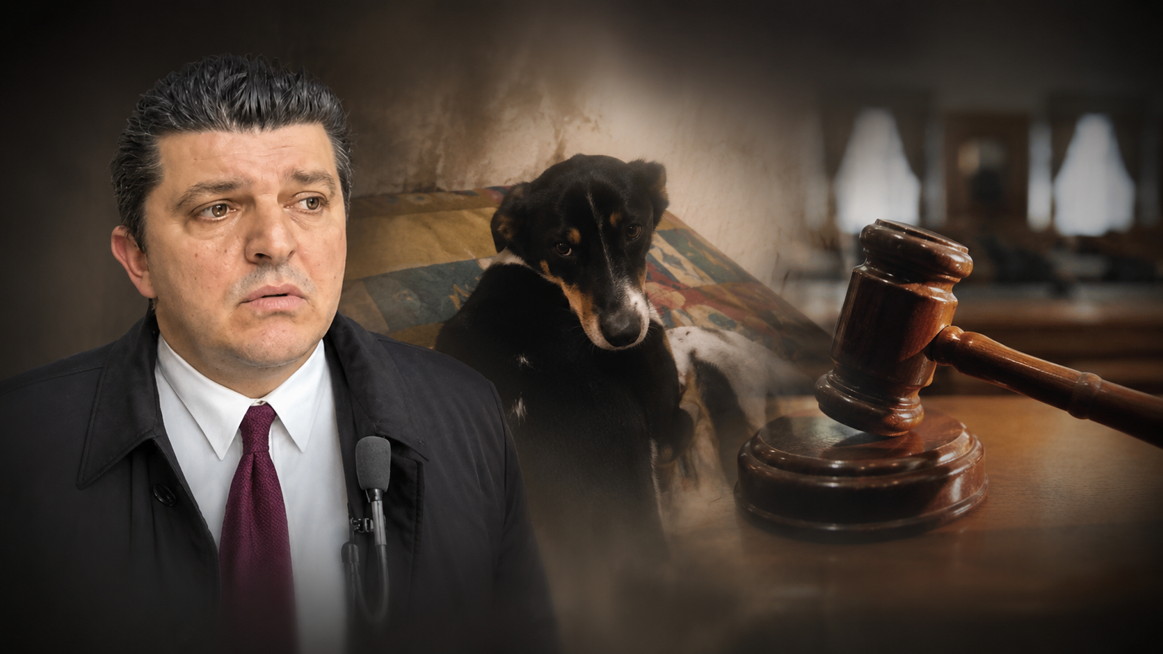 Θανάσης Τσόγκας, Συνήγορος Υποστήριξης της Κατηγορίας