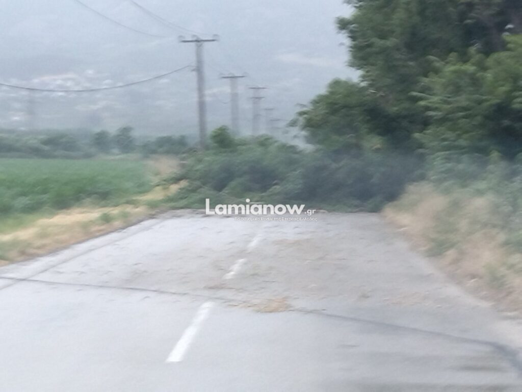 1000006135