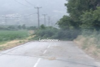 Πεσμένο δέντρο σε δρόμο του δήμου Λαμιέων μετά την κακοκαιρία