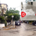 1200 trik