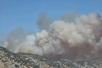 Πυροσβεστικά οχήματα και εναέρια μέσα επιχειρούν σε πυρκαγιά στο Ακραίφνιο Βοιωτίας