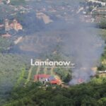 Πυροσβεστικά οχήματα και άνθρωποι σε ετοιμότητα κοντά σε περιοχή με φωτιά στον Γοργοπόταμο
