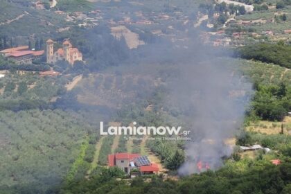 Πυροσβεστικά οχήματα και άνθρωποι σε ετοιμότητα κοντά σε περιοχή με φωτιά στον Γοργοπόταμο