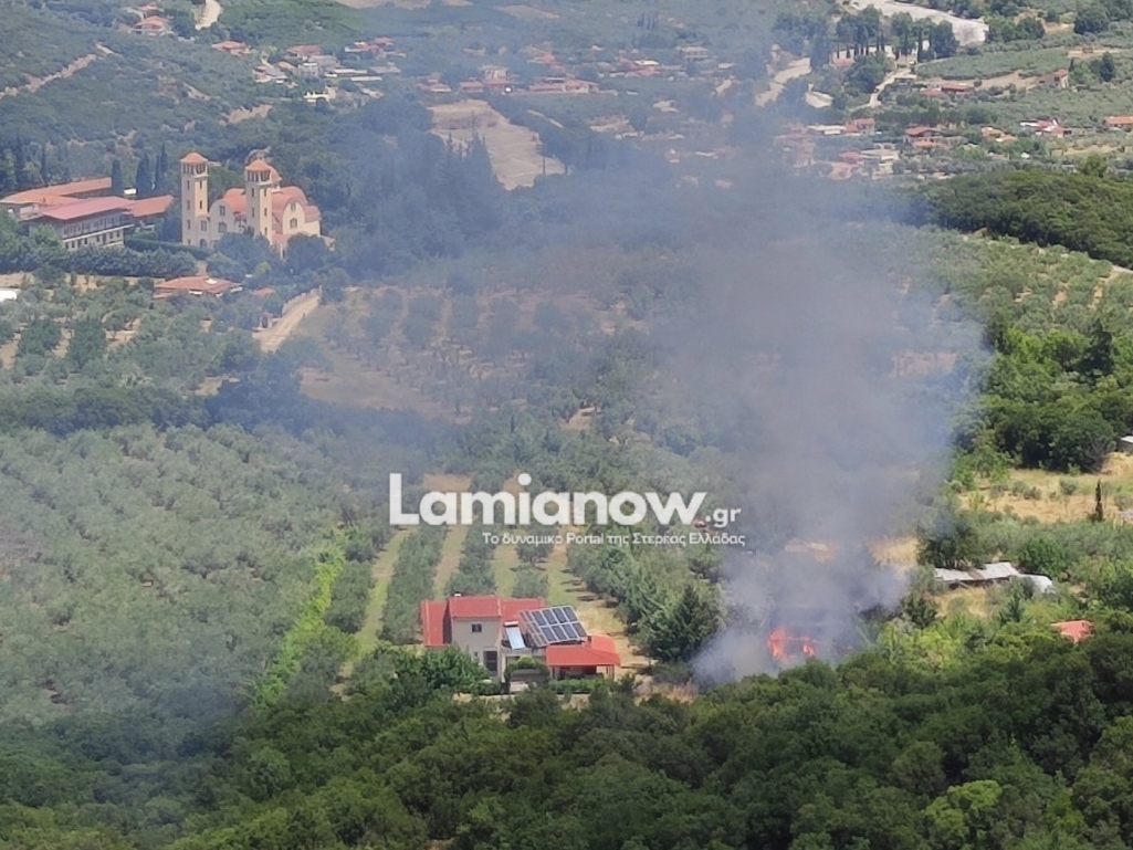Πυροσβεστικά οχήματα και άνθρωποι σε ετοιμότητα κοντά σε περιοχή με φωτιά στον Γοργοπόταμο