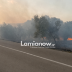Πυροσβεστικό όχημα σε επιχείρηση κατάσβεσης φωτιάς στη Φθιώτιδα