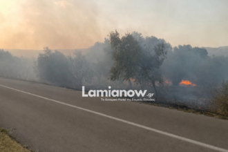 Πυροσβεστικό όχημα σε επιχείρηση κατάσβεσης φωτιάς στη Φθιώτιδα