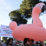 Διαδηλωτές στην Αλβανία για το προτεινόμενο τουριστικό θέρετρο κοντά σε προστατευόμενη περιοχή με φλαμίνγκο