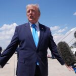 Tramp I s 1739583 trump 205