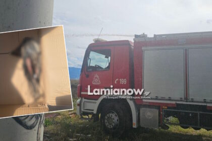 Πυροσβεστικά οχήματα επιχειρούν στον κάμπο της Ανθήλης με καπνούς από τη φωτιά στο σημείο