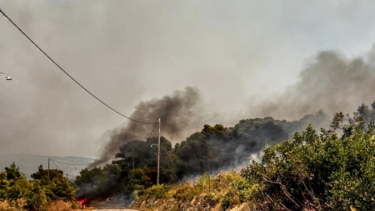 Πυροσβεστικά οχήματα και εναέρια μέσα επιχειρούν σε δασική πυρκαγιά στον Άγιο Βασίλειο Βοιωτίας