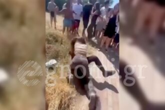 Συμπλοκή δύο μαθητριών έξω από σχολείο στην Εύβοια