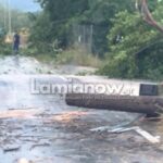 Κλαδιά δέντρου πάνω σε καλώδια ηλεκτροδότησης στην Αγριλιά με διακοπή ρεύματος