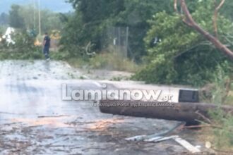 Κλαδιά δέντρου πάνω σε καλώδια ηλεκτροδότησης στην Αγριλιά με διακοπή ρεύματος