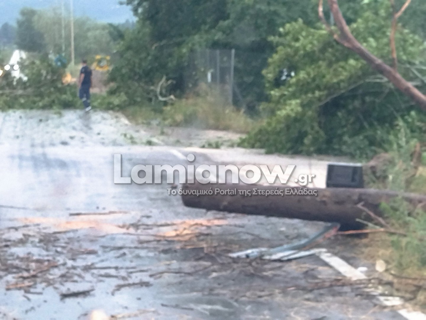 Κλαδιά δέντρου πάνω σε καλώδια ηλεκτροδότησης στην Αγριλιά με διακοπή ρεύματος