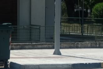 pezo
