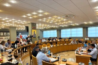 Ο Φάνης Σπανός μιλά στο Περιφερειακό Συμβούλιο Στερεάς Ελλάδας για το Ειδικό Χωροταξικό των ΑΠΕ