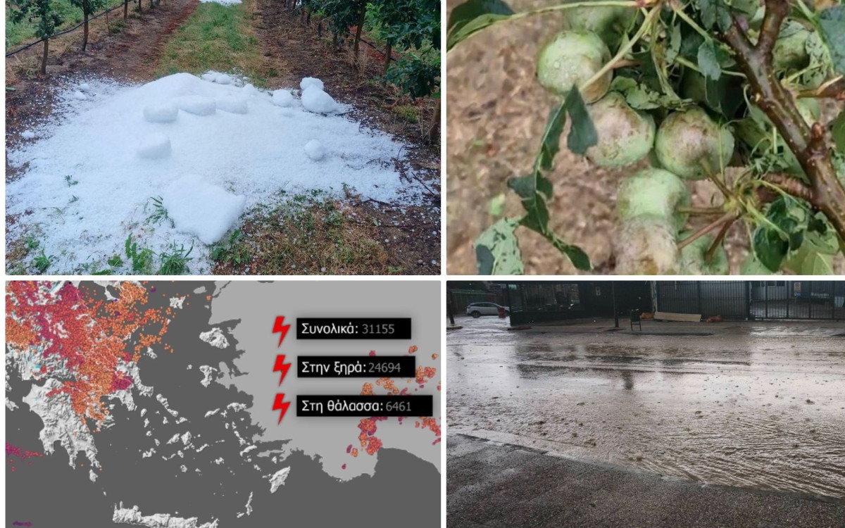 Κατεστραμμένες καλλιέργειες και ζημιές μετά από ισχυρή κακοκαιρία με χαλάζι