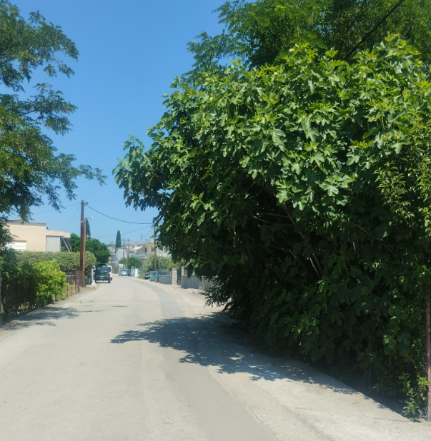 Στιγμιότυπο οθόνης 2026 06 07 221124