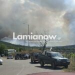 Πυροσβεστικό όχημα και καμένη αγροτοδασική έκταση στο Καλαπόδι Φθιώτιδας