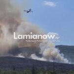 Πυροσβεστικό όχημα και επιχειρήσεις κατάσβεσης σε αγροτοδασική πυρκαγιά στο Καλαπόδι Φθιώτιδας