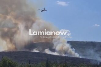 Πυροσβεστικό όχημα και επιχειρήσεις κατάσβεσης σε αγροτοδασική πυρκαγιά στο Καλαπόδι Φθιώτιδας