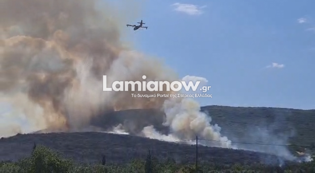Πυροσβεστικό όχημα και επιχειρήσεις κατάσβεσης σε αγροτοδασική πυρκαγιά στο Καλαπόδι Φθιώτιδας