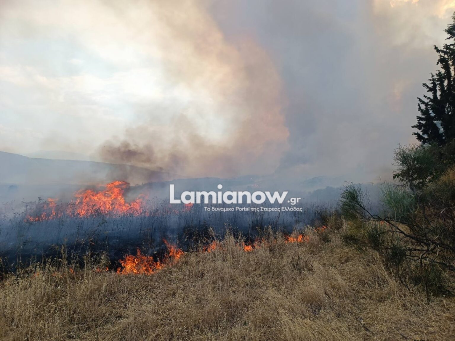 Χάρτης πρόβλεψης κινδύνου πυρκαγιάς για σήμερα με πολύ υψηλό κίνδυνο σε έξι Περιφέρειες