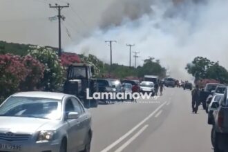Πυρκαγιά σε αγροτοδασική έκταση στο Καλαπόδι Φθιώτιδας με ισχυρή κινητοποίηση πυροσβεστικών δυνάμεων