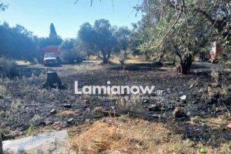 Πυροσβεστικά οχήματα σε χωράφι ανάμεσα στη Ροδίτσα και τη Νέα Μαγνησία Λαμίας