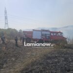 Πυροσβεστικά οχήματα και εναέριες δυνάμεις επιχειρούν σε δασική πυρκαγιά στα Βασιλικά Φθιώτιδας