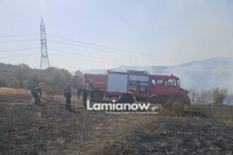 Πυροσβεστικά οχήματα και εναέριες δυνάμεις επιχειρούν σε δασική πυρκαγιά στα Βασιλικά Φθιώτιδας