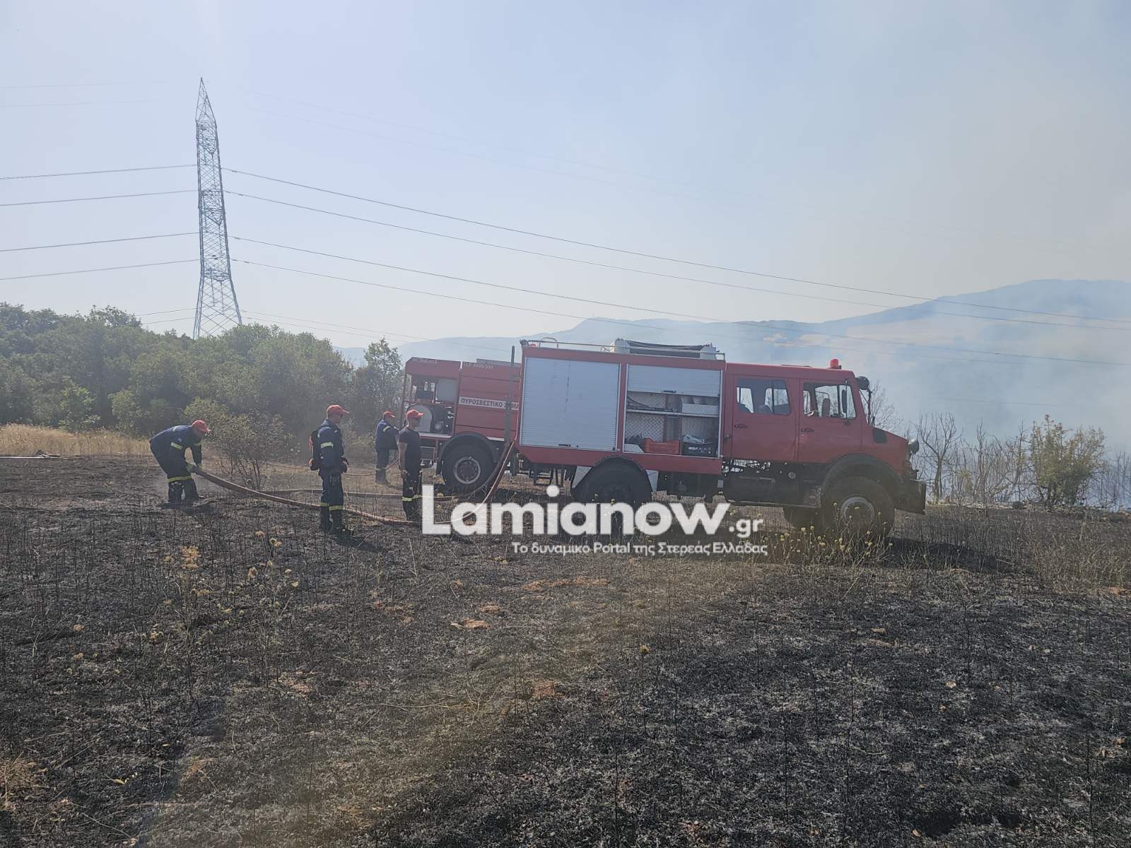 Πυροσβεστικά οχήματα και εναέριες δυνάμεις επιχειρούν σε δασική πυρκαγιά στα Βασιλικά Φθιώτιδας