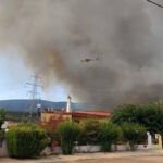 fotia