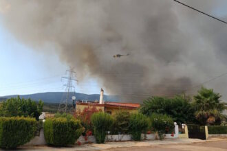 fotia
