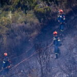 Πυροσβεστικά οχήματα και εναέρια μέσα επιχειρούν σε πυρκαγιά στην Ταρσό Βοιωτίας