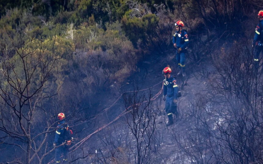 Πυροσβεστικά οχήματα και εναέρια μέσα επιχειρούν σε πυρκαγιά στην Ταρσό Βοιωτίας